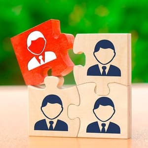 bilan-competences-puzzle ""